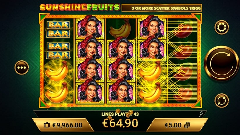 Sunshine Fruits slot screen 4