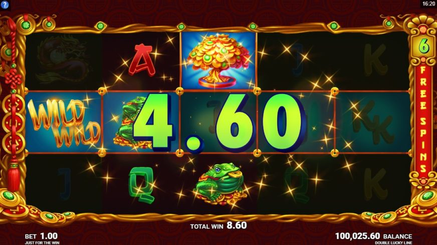 Double Lucky Line slot screen 4