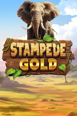 Stampede Gold