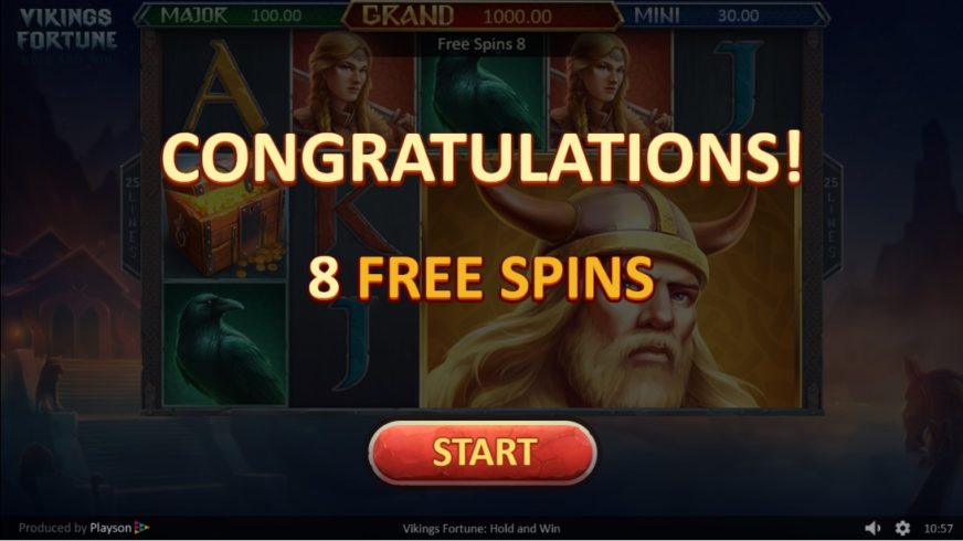 Vikings Fortune: Hold and Win slot screen 4
