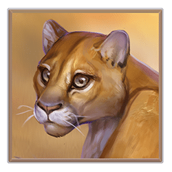 Icon 5 Savage Buffalo Spirit