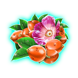 Icon 4 Winterberries