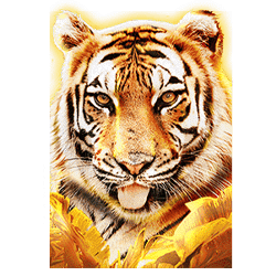 Icon 1 Big Cat Rescue MegaWays