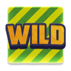 Wild Symbol of The Respinners Slot