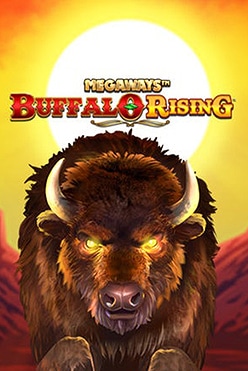 Buffalo Rising