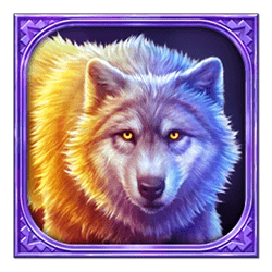 Icon 5 Buffalo Hold and Win