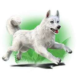 Icon 2 Volcano Goddess