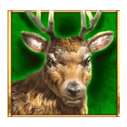 Icon 4 Big Bad Bison Megaways