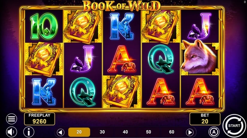 Book of Wild slot screen 2