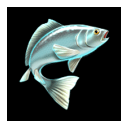 Icon 4 Amazing Catch