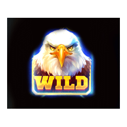 Wild Symbol of Eagle Power: Hold and Win Slot