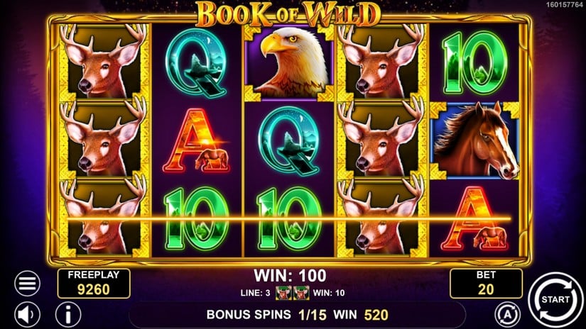Book of Wild slot screen 4