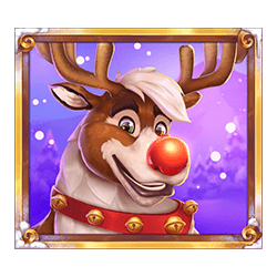 Icon 2 Wild Stocking