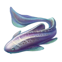 Icon 4 Turtle Paradise