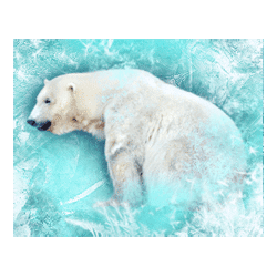 Icon 2 Northern Heat