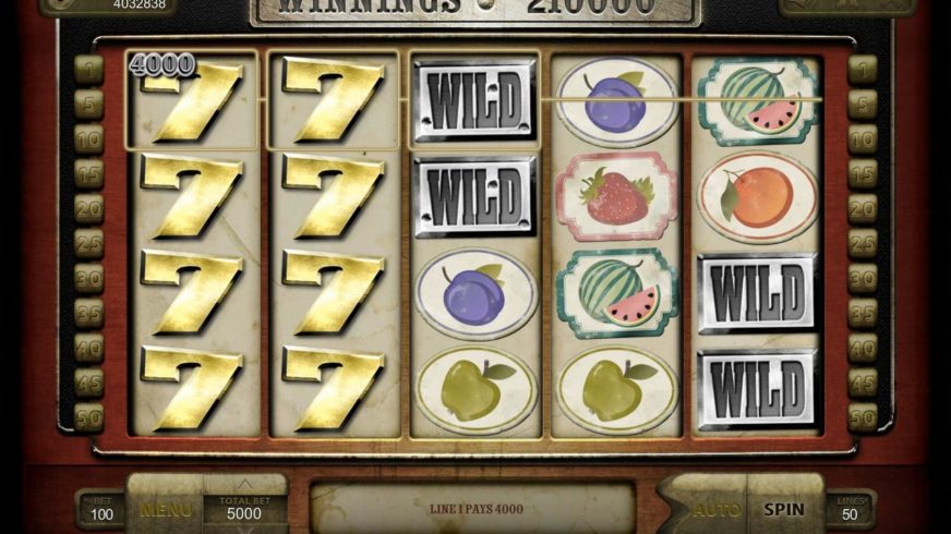 Wild Fruits slot screen 4