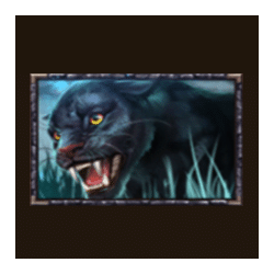 Icon 4 Phoenix Reborn