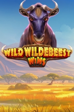 Wild Wildebeest Wins