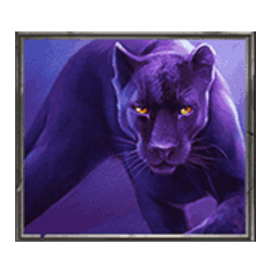 Icon 7 Wild Warriors