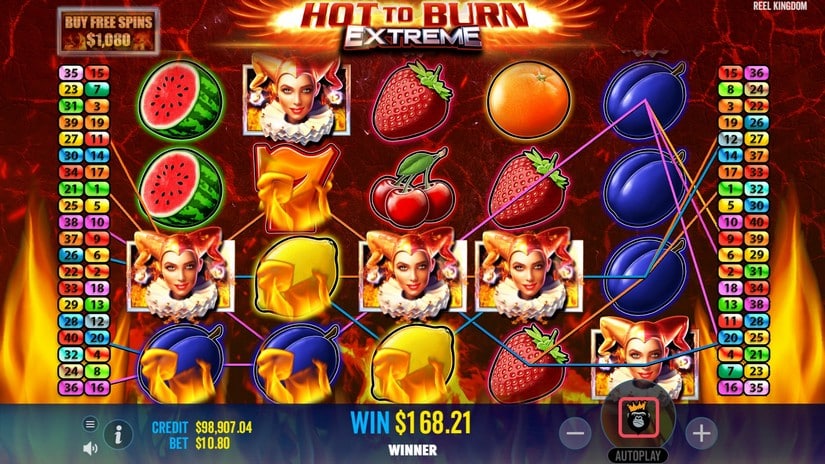 Hot to Burn Extreme slot screen 6