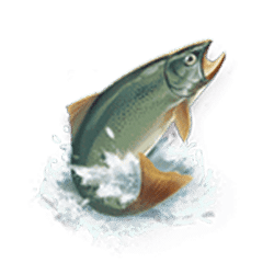 Icon 6 Get The Gold Infinireels