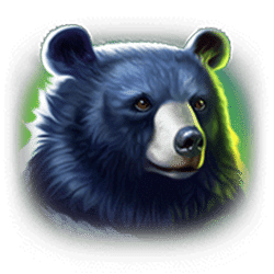 Icon 3 Tiger Stone: Hold and Win