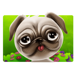Wild Symbol of Crazy Pug Slot