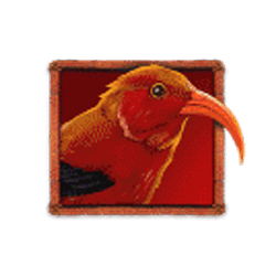 Icon 2 Lady Lava Mini-Max