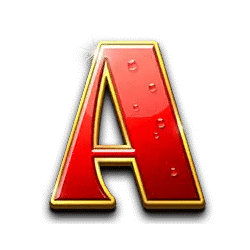 Icon 5 Mega Wild Fruits – Xmas