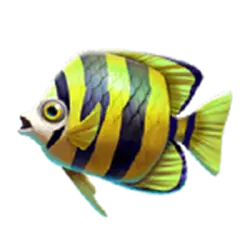 Icon 2 Marlin Masters The Big Haul