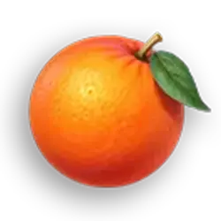 Icon 6 Fortune Coins