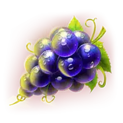 Icon 11 Joker Fortune Blitz 2