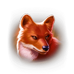 Icon 5 Tiger Stone: Hold and Win