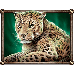Icon 2 Savanna Roar