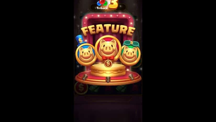 3 Lucky Piggy slot screen 5