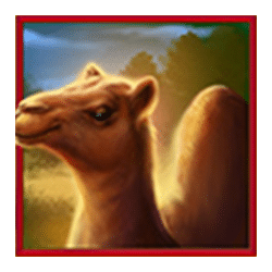 Icon 3 Outback Gold: Hold & Win