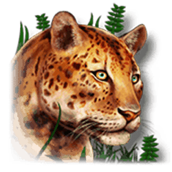 Icon 5 Grand Junction Enchanted Inca