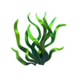 Icon 5 Fish n’ Fish