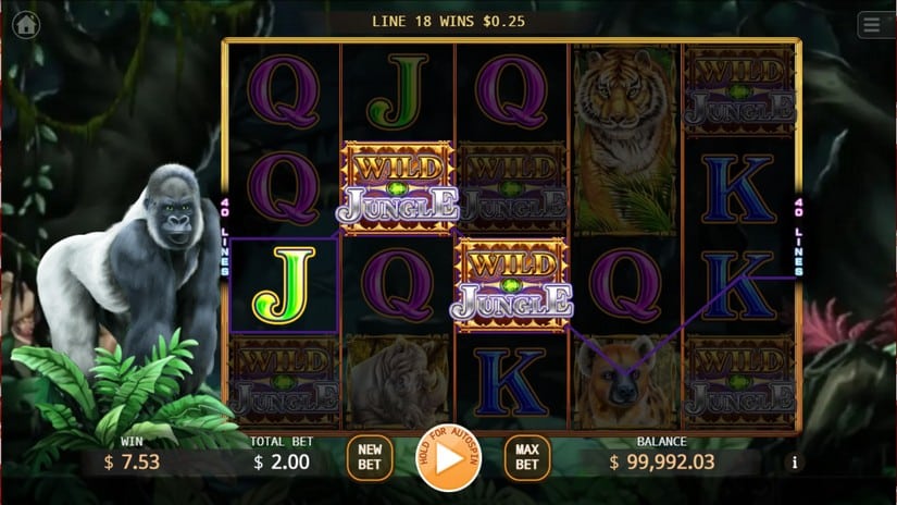 Wild Jungle slot screen 3