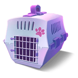 Icon 6 Kitty Kollect