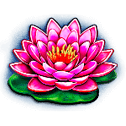 Icon 5 Dragon’s Element