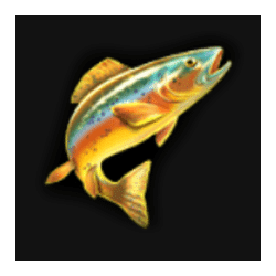 Icon 3 Amazing Catch Power Combo