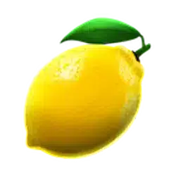 Icon 6 Cash’n Fruits 243 X