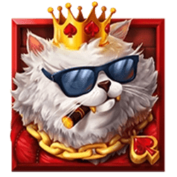 Icon 2 Fly Cats Dream Drop