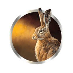 Icon 4 Wild Buffalo Bonanza