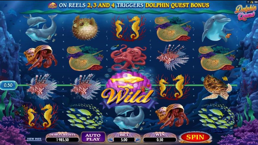 Dolphin Quest slot screen 2