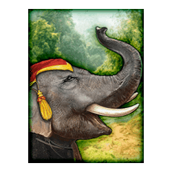 Icon 3 Thai Flower Megaways