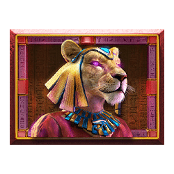 Icon 4 Giza Infinity Reels