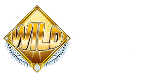 Title Belt #4 - Sticky Wild