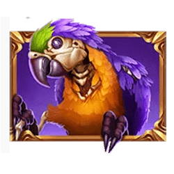 Icon 2 Pirate Multi Coins